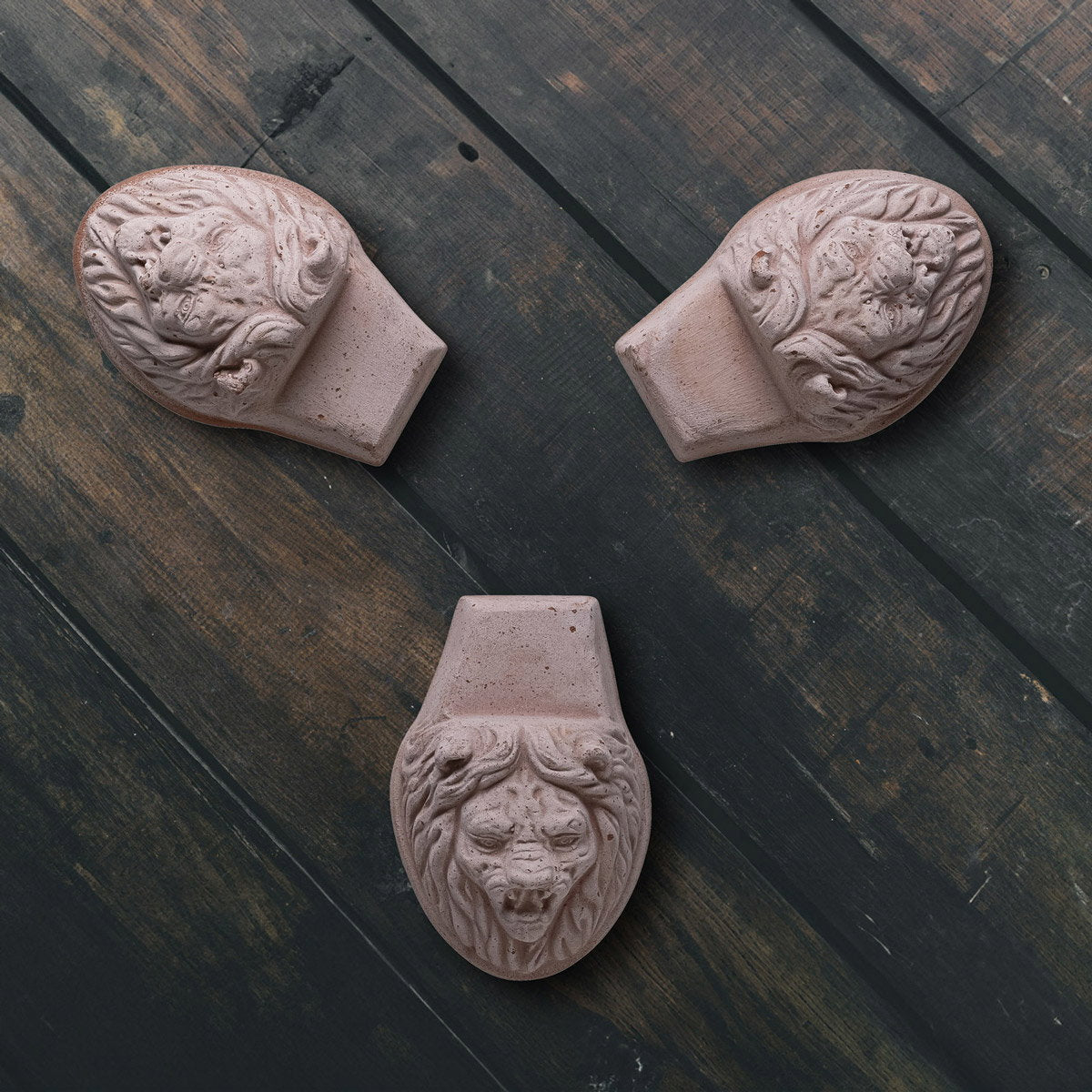 Lion head Pot feet RAW Rosa