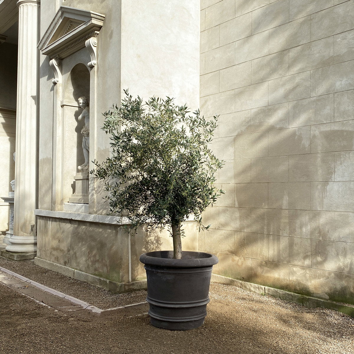 Lucca Large Pot RAW Grey
