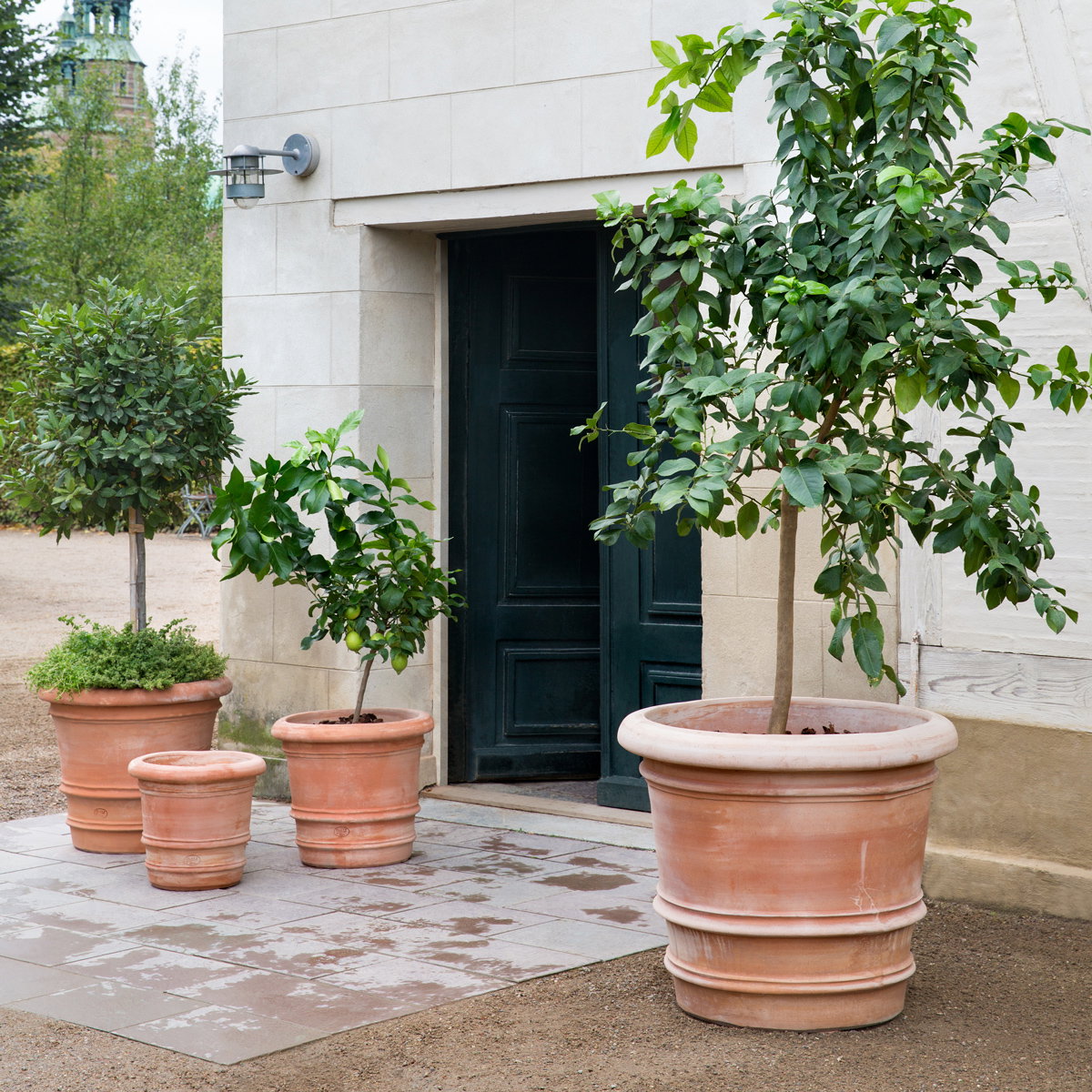 Lucca Large Pot RAW Rosa