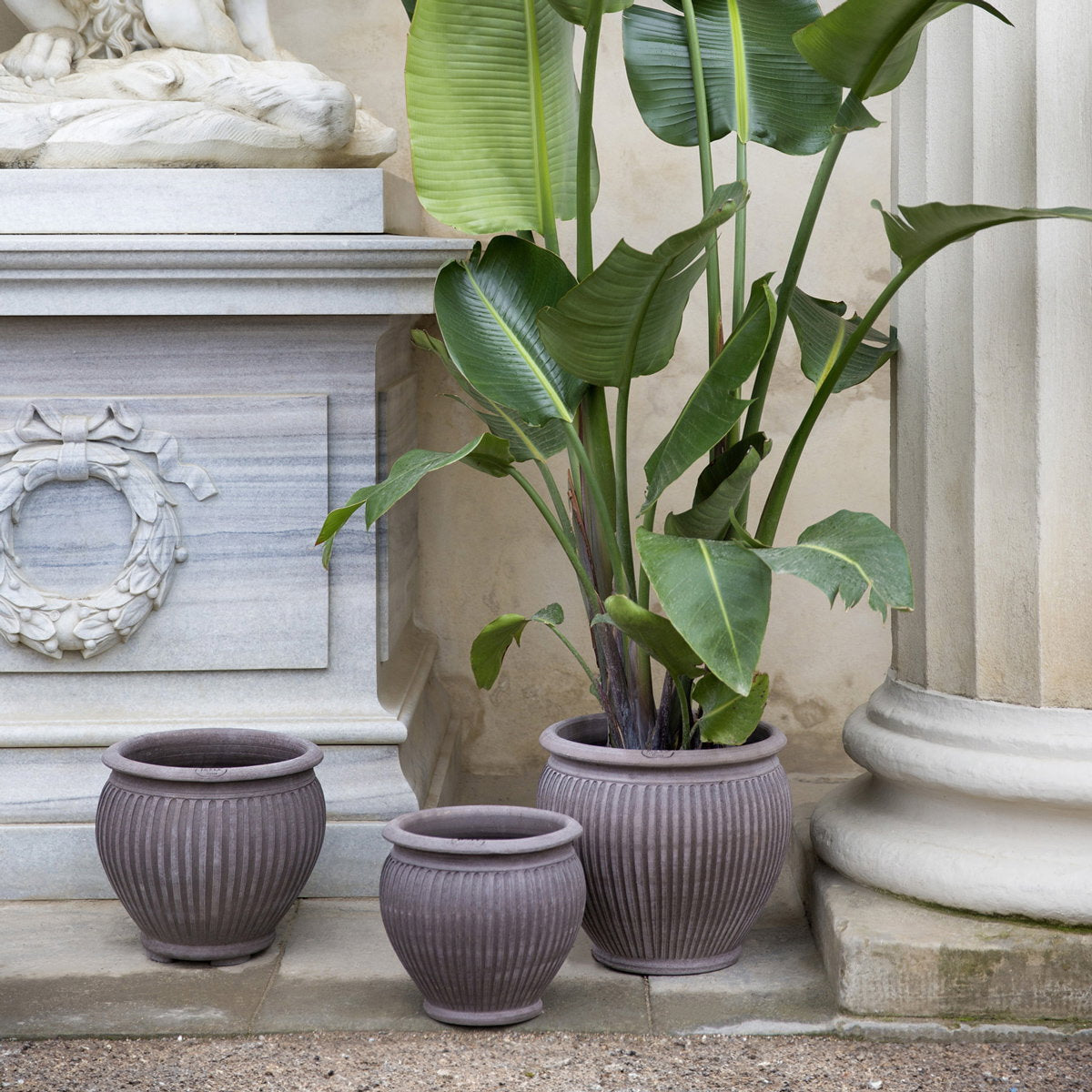 Piccolina Pot RAW Grey