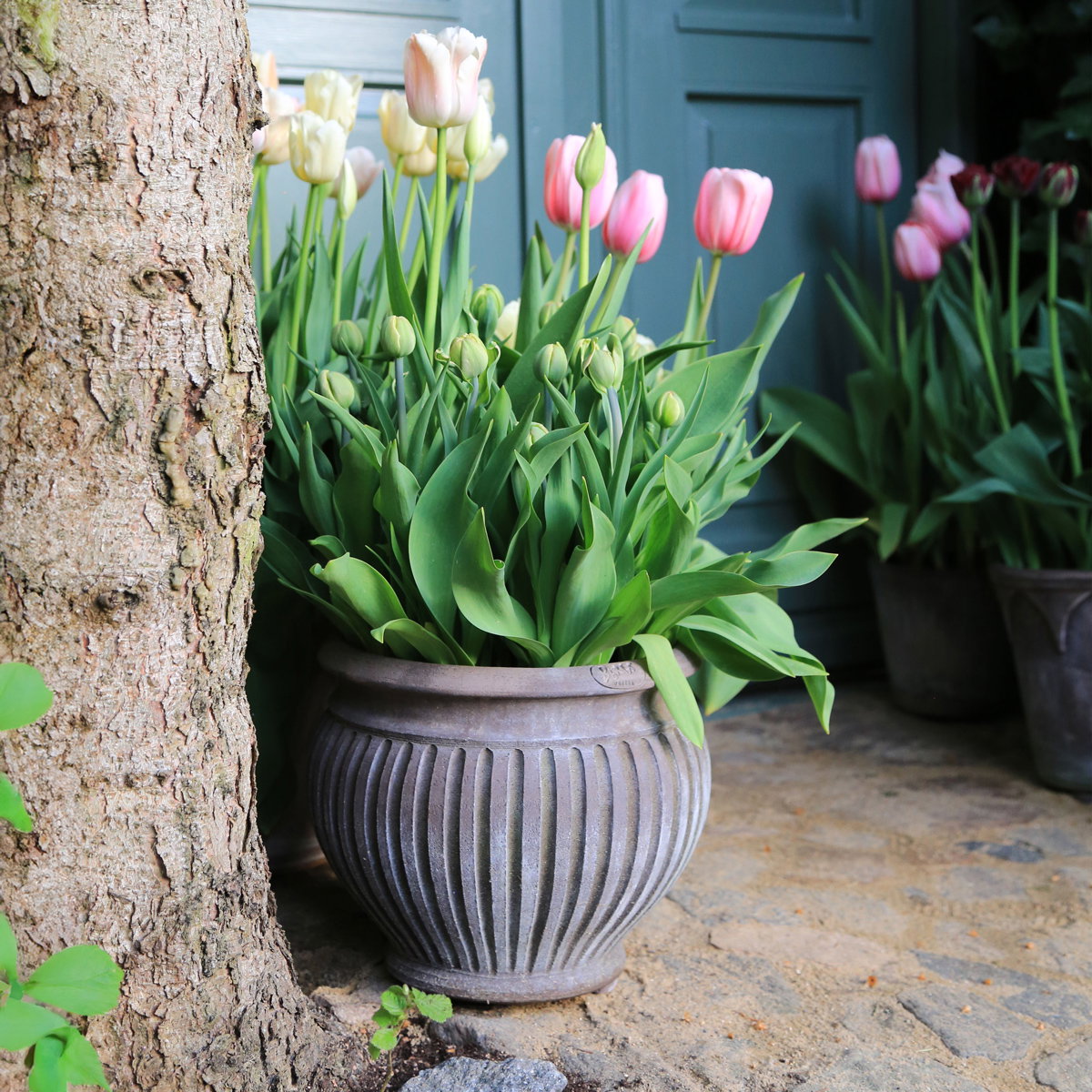 Piccolina Pot RAW Grey