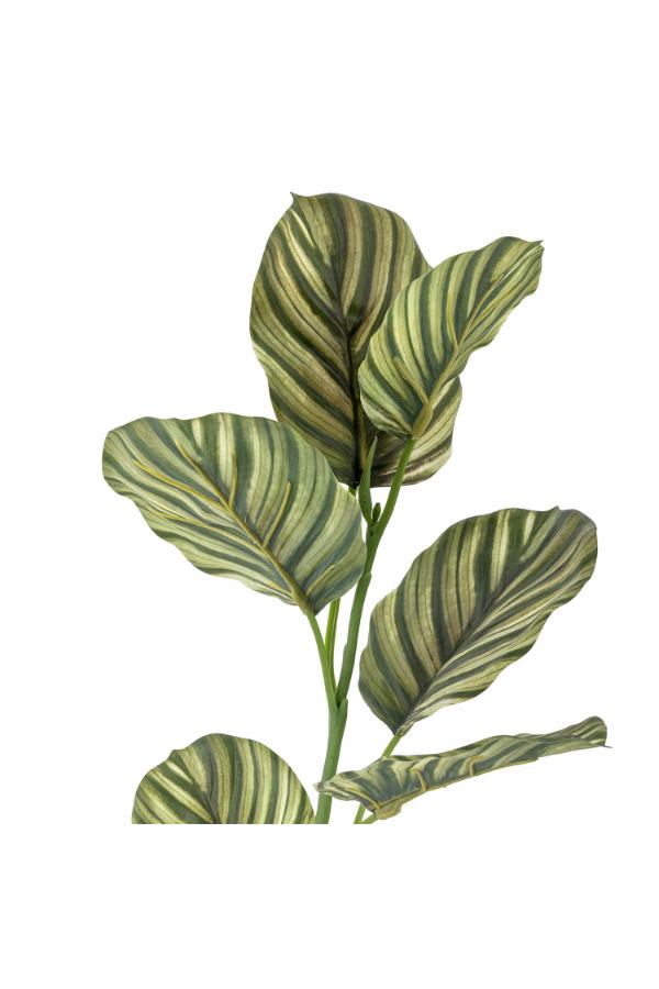 Bloomingville Zebra Stem, Green, Artificial Flowers