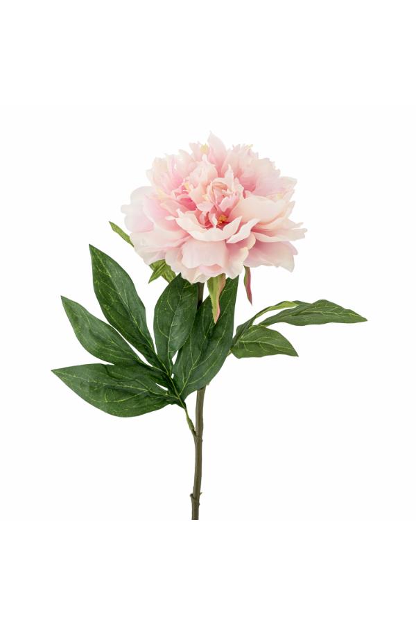 Bloomingville Peony Stem, Rose, Artificial Flowers