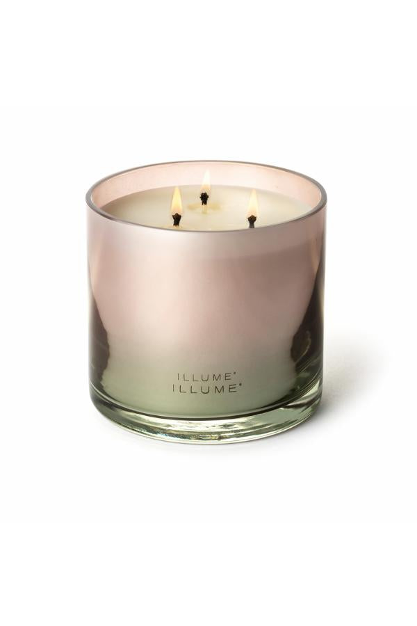 Illume Coconut Milk Mango Statement Glass Candle, Rose,