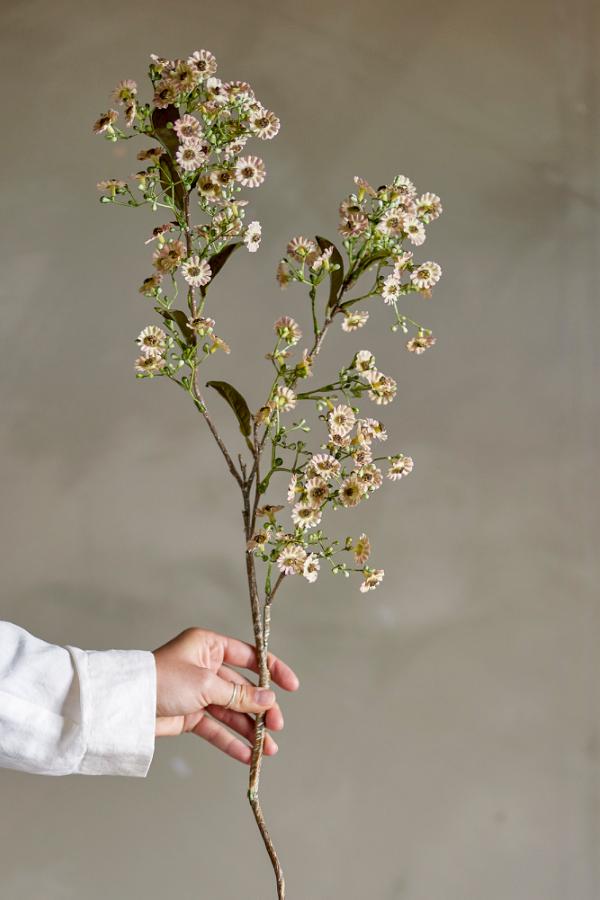 Bloomingville Waxflower Stem, White, Artificial Flowers