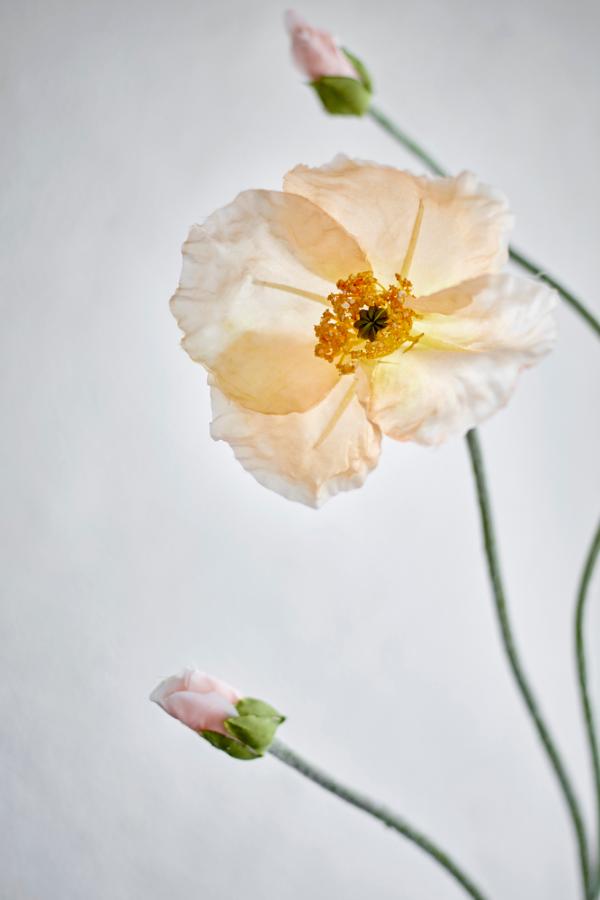 Bloomingville Poppy Stem, Nature, Artificial Flowers