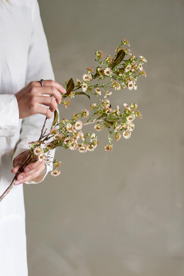 Bloomingville Waxflower Stem, White, Artificial Flowers
