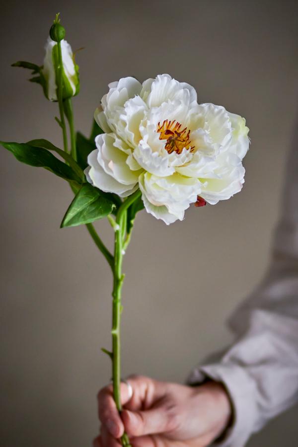 Bloomingville Peony Stem, White, Artificial Flowers