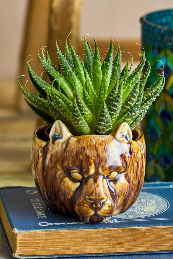 Creative Collection Abner Flowerpot, Brown, Stoneware