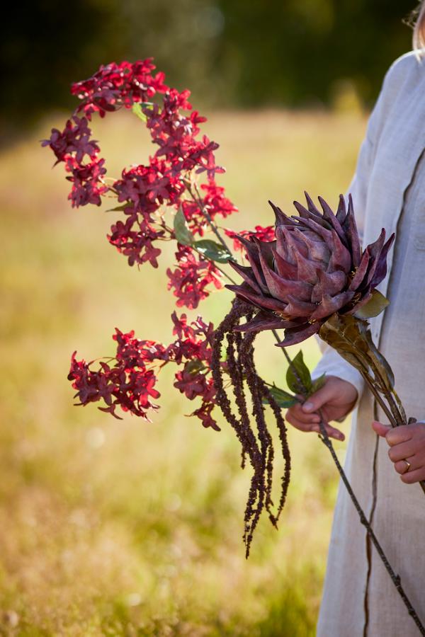 Bloomingville Protea Stem, Purple, Artificial Flowers