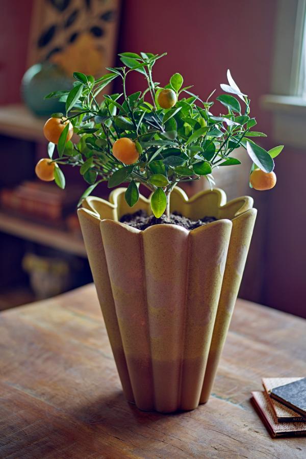 Creative Collection Penn Vase, Yellow, Stoneware