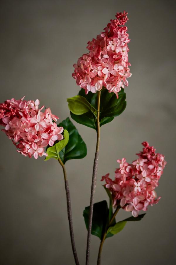 Bloomingville Hydrangea Stem, Rose, Artificial Flowers
