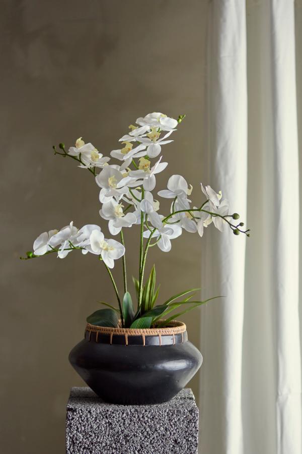 Bloomingville Orchid Plant, White, Artificial Flowers