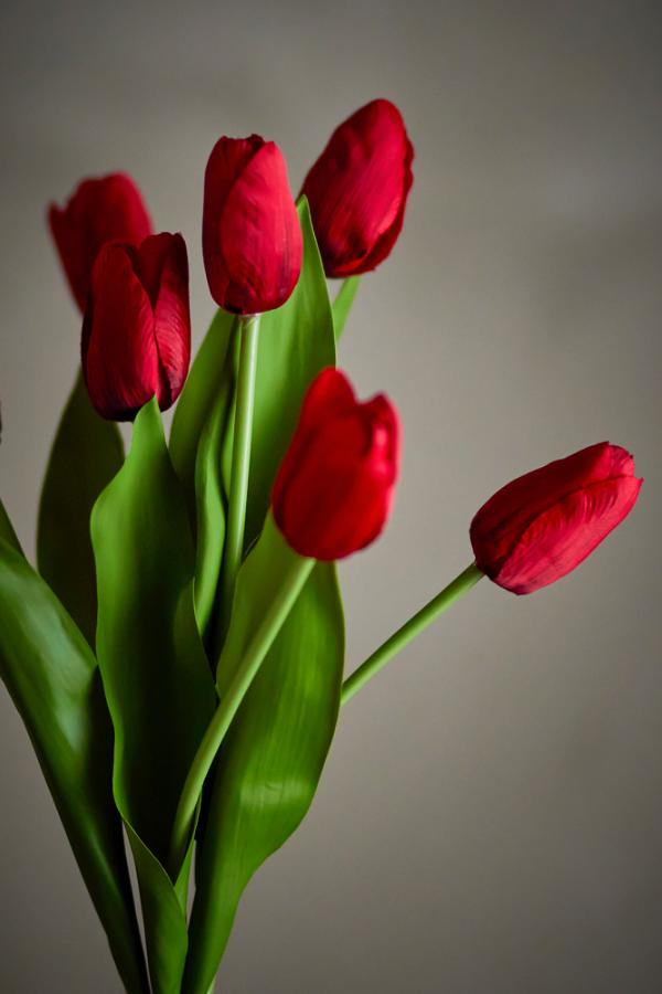 Bloomingville Tulip Bouquet, Red, Artificial Flowers