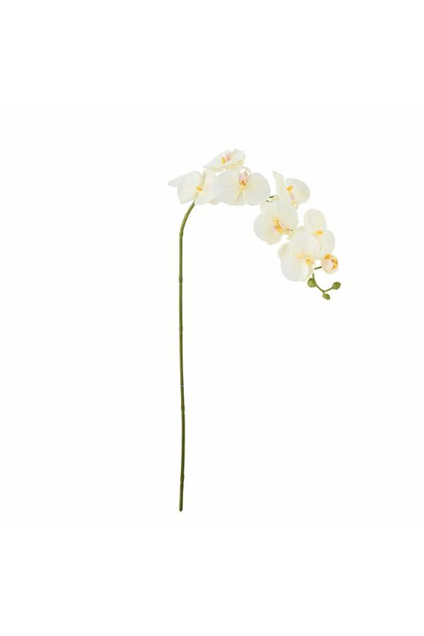 Bloomingville Orchid Stem, White, Artificial Flowers