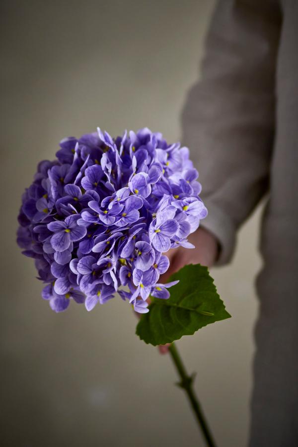 Bloomingville Hydrangea Stem, Purple, Artificial Flowers