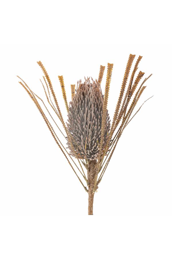 Bloomingville Palmflower Stem, Brown, Artificial Flowers