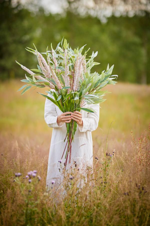 Bloomingville Foxtail Stem, Rose, Artificial Flowers