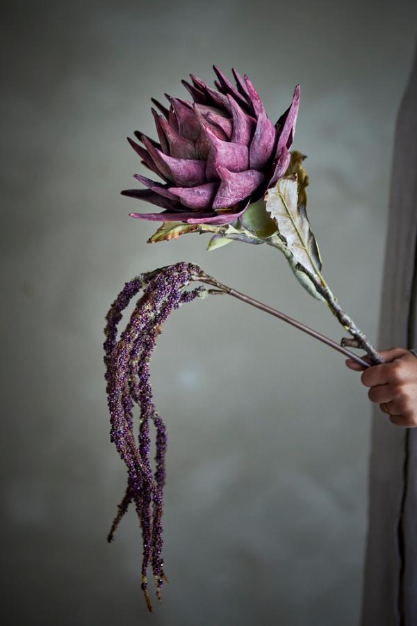 Bloomingville Protea Stem, Purple, Artificial Flowers