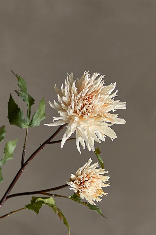 Bloomingville Chrysantemum Stem, Nature, Artificial Flowers