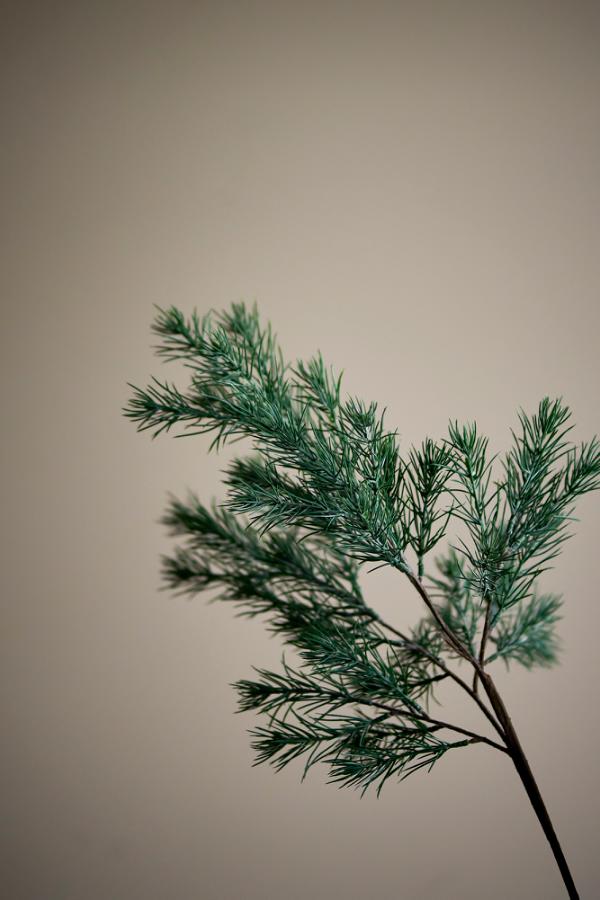 Bloomingville Pine Stem, Green, Artificial Flowers