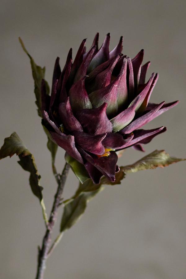 Bloomingville Protea Stem, Purple, Artificial Flowers