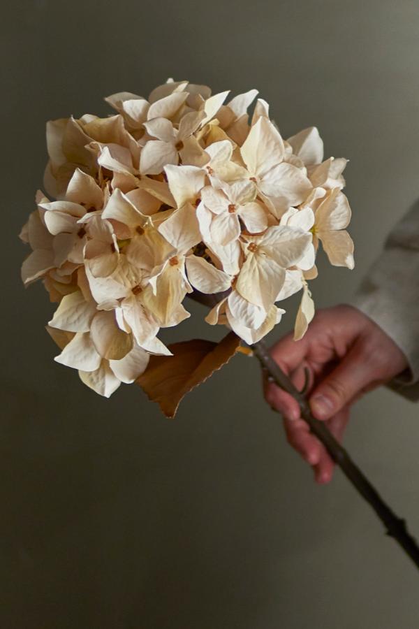 Bloomingville Hydrangea Stem, Nature, Artificial Flowers