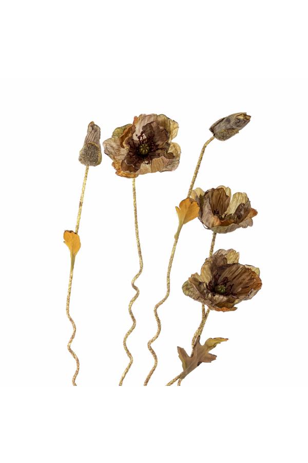 Bloomingville Poppy Stem, Brown, Artificial Flowers