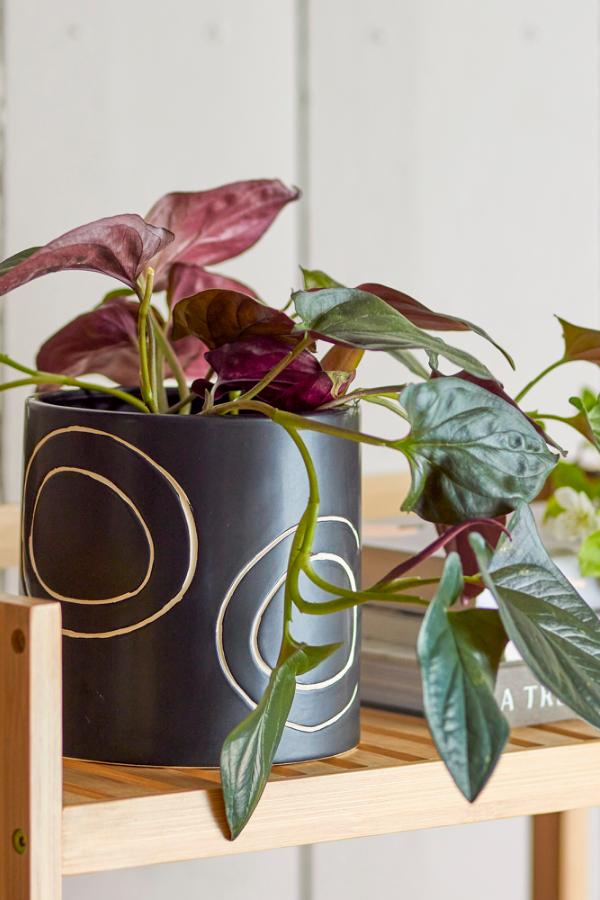 Bloomingville Troy Flowerpot, Black, Stoneware