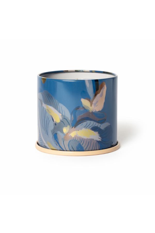 Illume Citrus Crush Vanity Tin Candle, Blue,