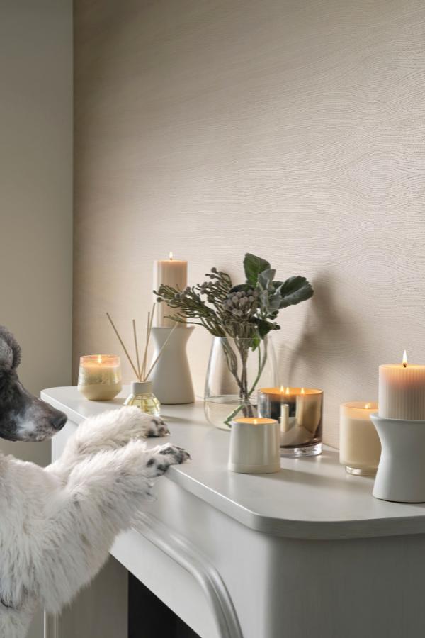 Illume Winter White Box Glass Candle, White,