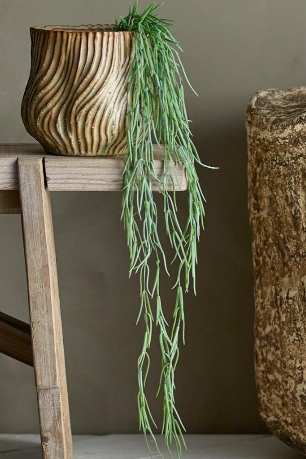 Bloomingville Tilandsia Plant, Green, Artificial Flowers