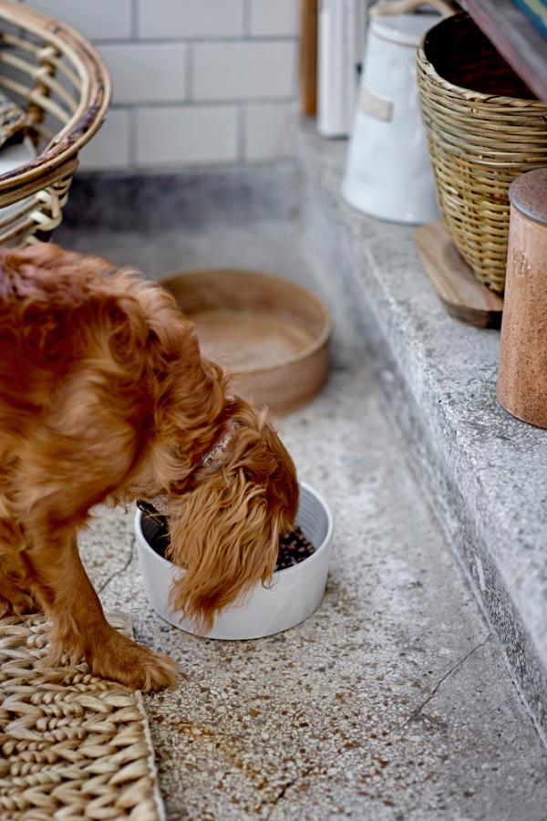 Bloomingville Buddy Bowl, White, Stoneware