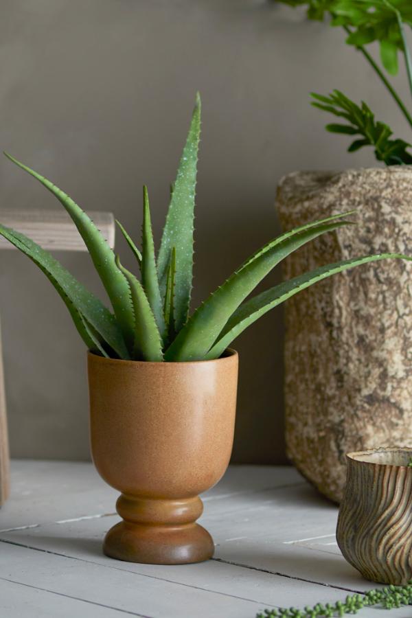 Bloomingville Aloe Plant, Green, Artificial Flowers