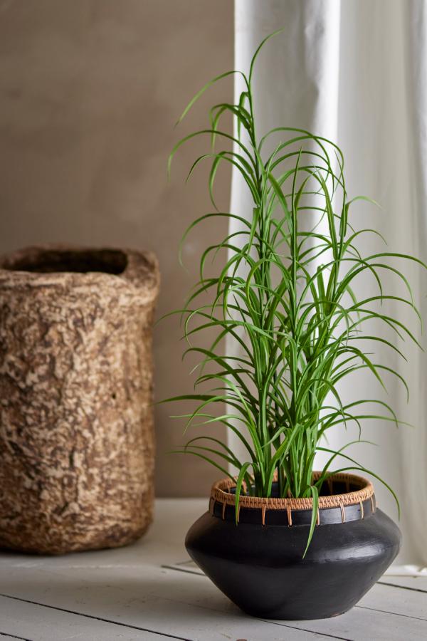 Bloomingville Grass Plant, Green, Artificial Flowers