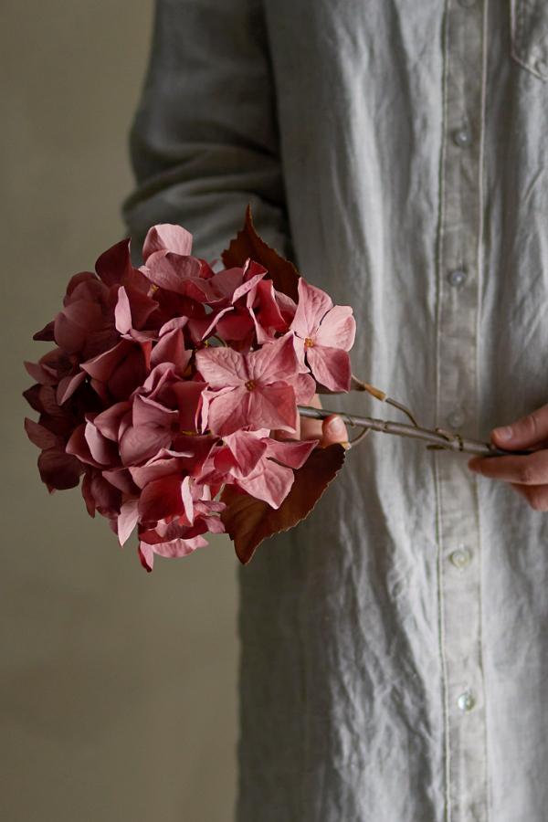 Bloomingville Hydrangea Stem, Rose, Artificial Flowers
