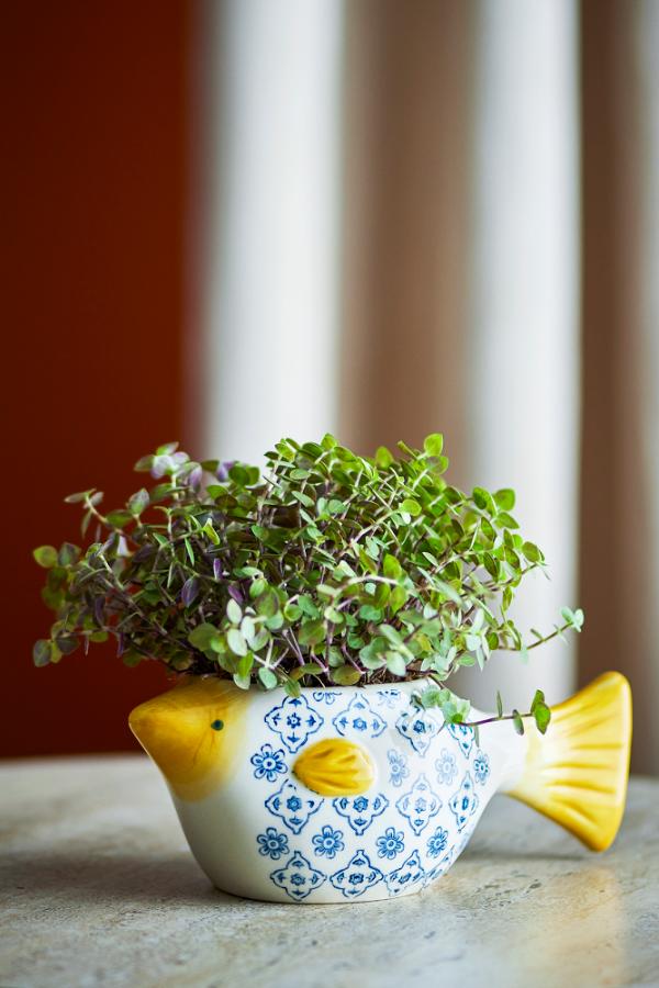 Creative Collection Wrenna Flowerpot, Multi, Stoneware
