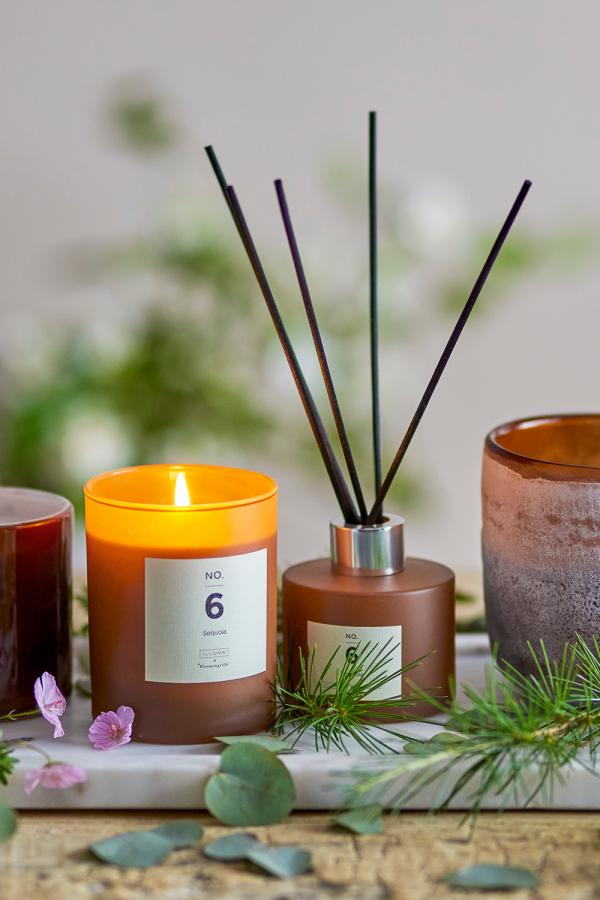Illume X Bloomingville NO. 6 - Sequoia Scented Candle, Brown, Natural Wax