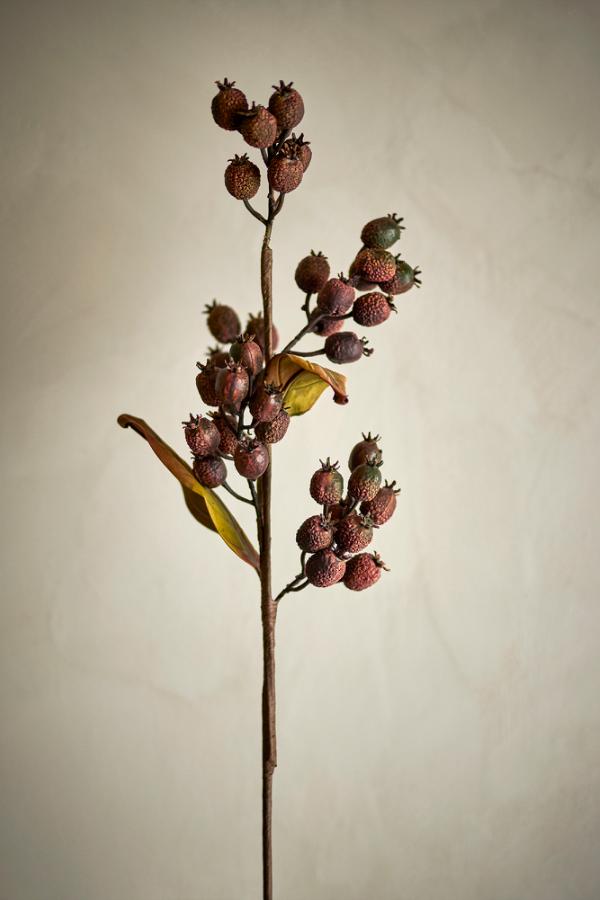 Bloomingville Berry Branch, Brown, Artificial Flowers