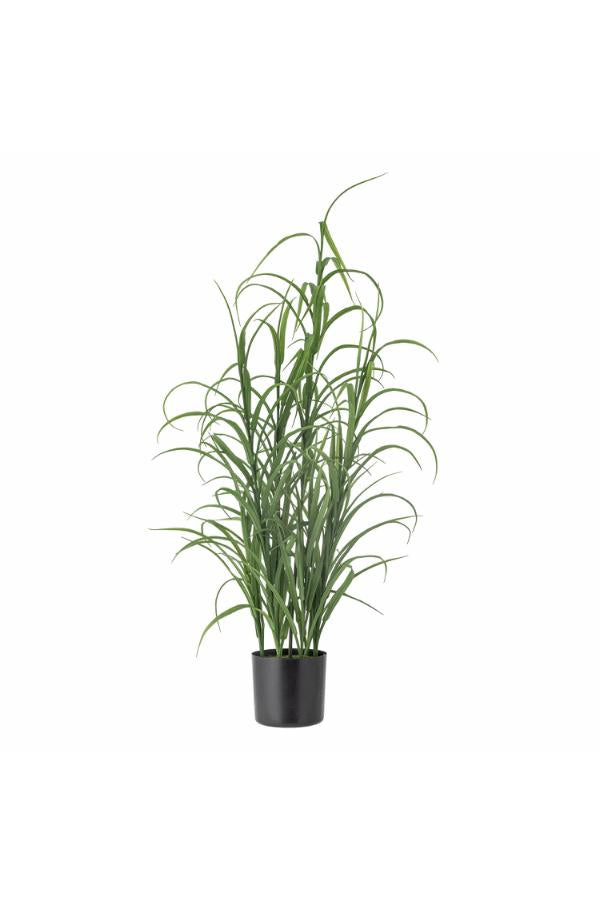 Bloomingville Grass Plant, Green, Artificial Flowers