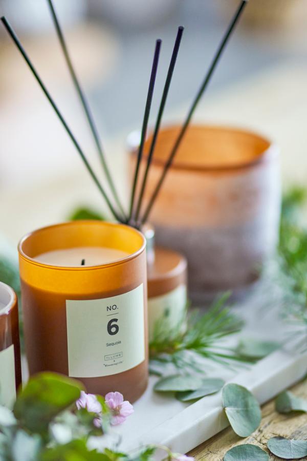 Illume X Bloomingville NO. 6 - Sequoia Scented Candle, Brown, Natural Wax