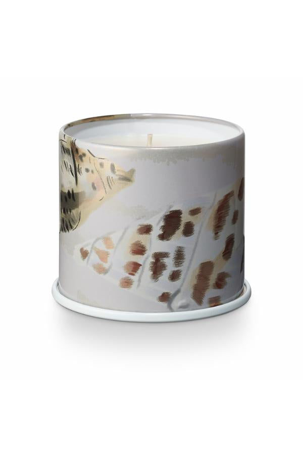 Illume Driftwood Vanity Tin Candle, White,