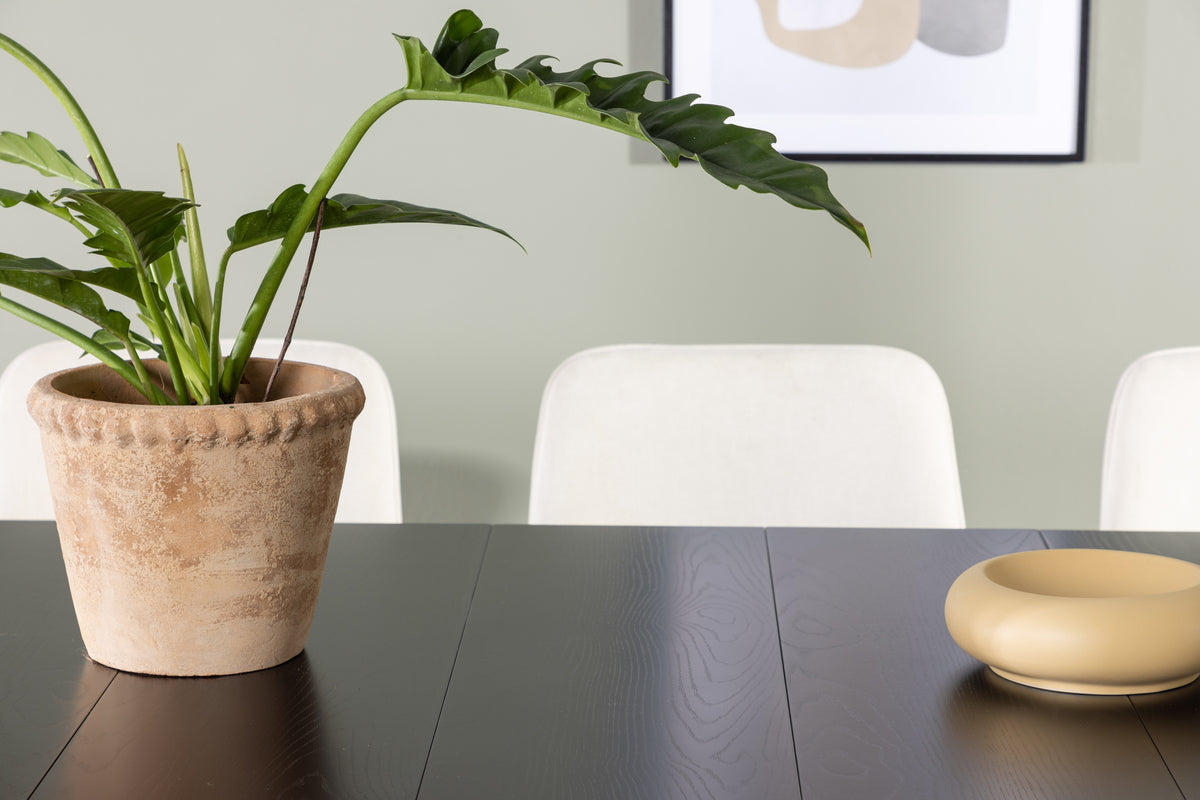 Venture Design Astrid & Rosie Rektangulära Matbord 200 x 90 Svart + Matstolar 2-pack Beige