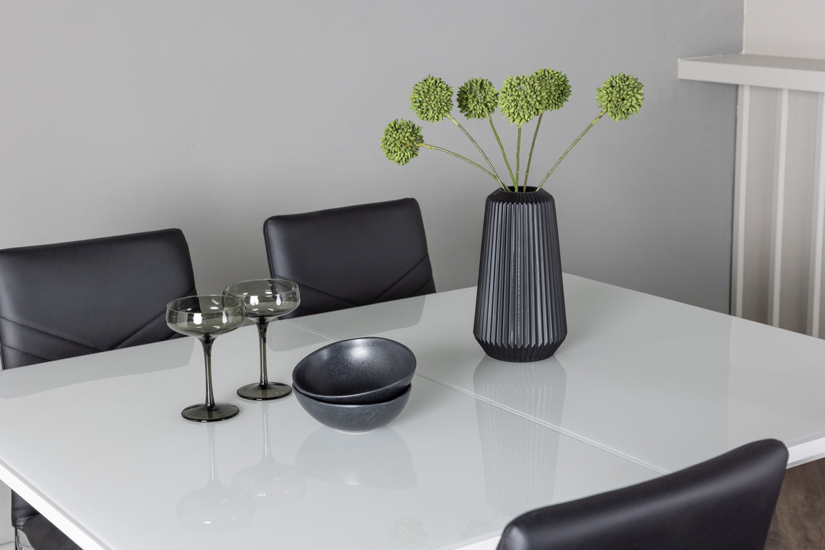 Venture Design Pluto & Lily Rektangulära Matbord 120 x 90 Vit + Matstolar 2-pack Svart