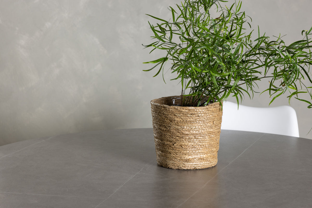 Venture Design Piazza & Zeno Runda Matbord ⌀120 Grå + Matstolar 2-pack Vit