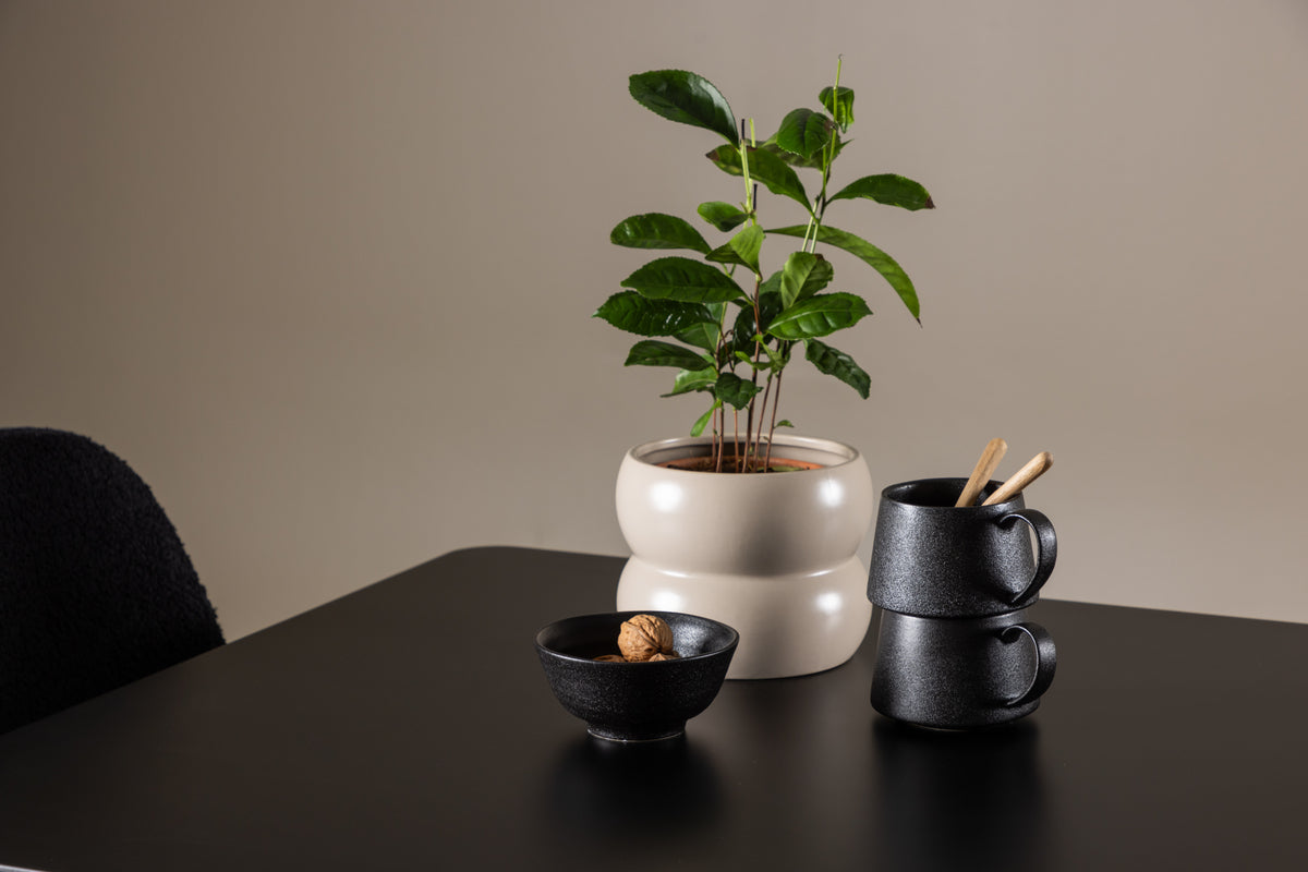 Venture Design Polar Matstolar 2-pack Svart + Rektangulära Matbord 75 x 75 Svart