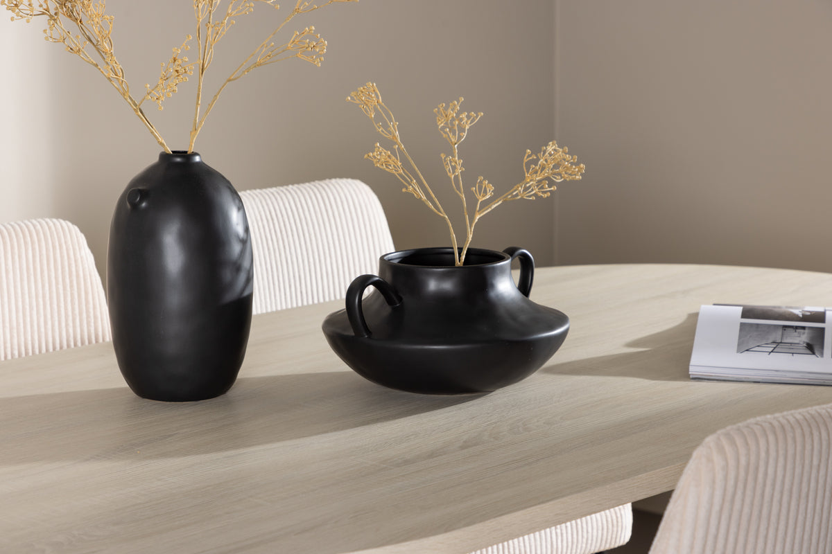 Venture Design Andy & Leone Ovala Matbord 180 x 90 Vitputsad + Matstolar 2-pack Beige