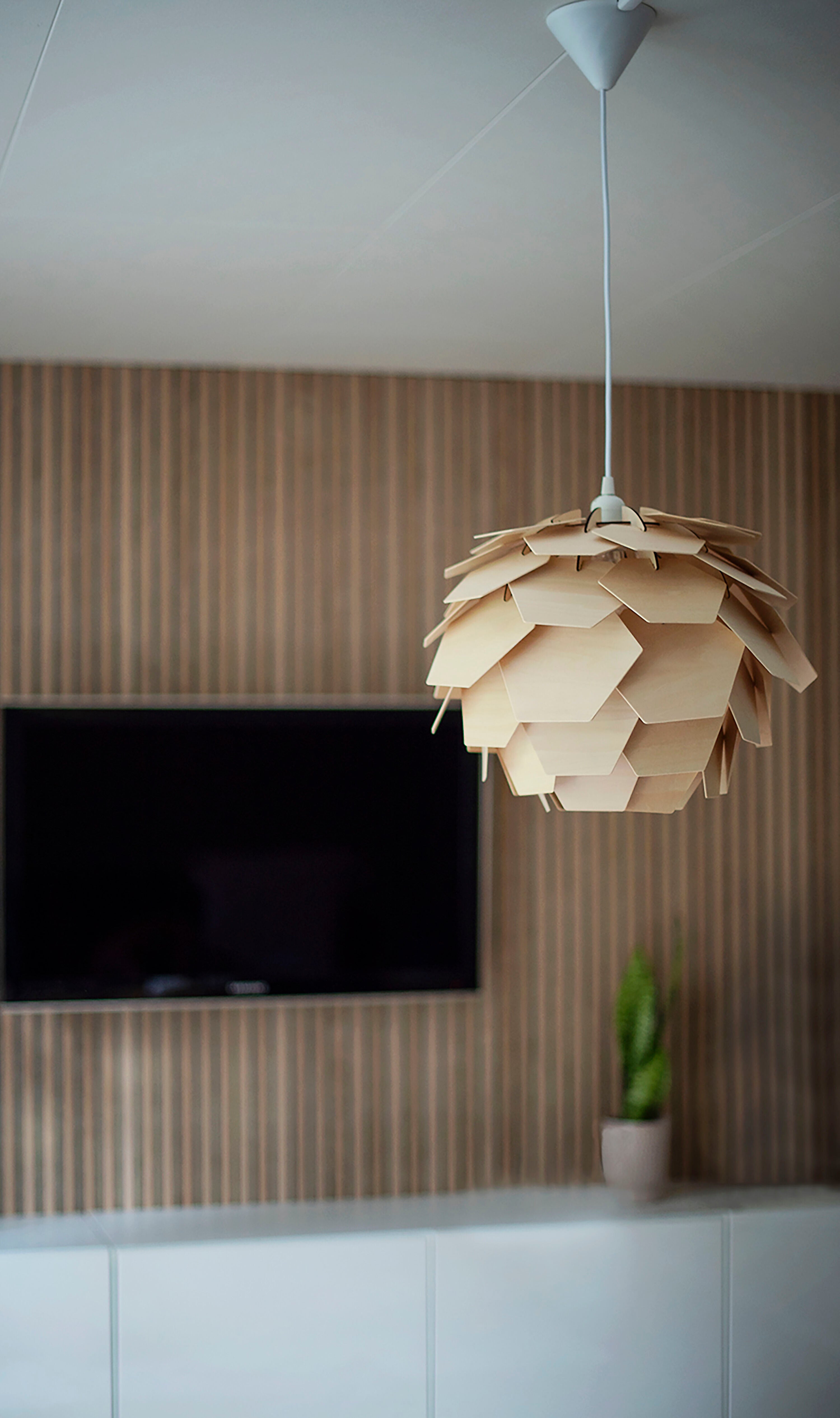 Aneta Home CARPATICA taklampa Ø40