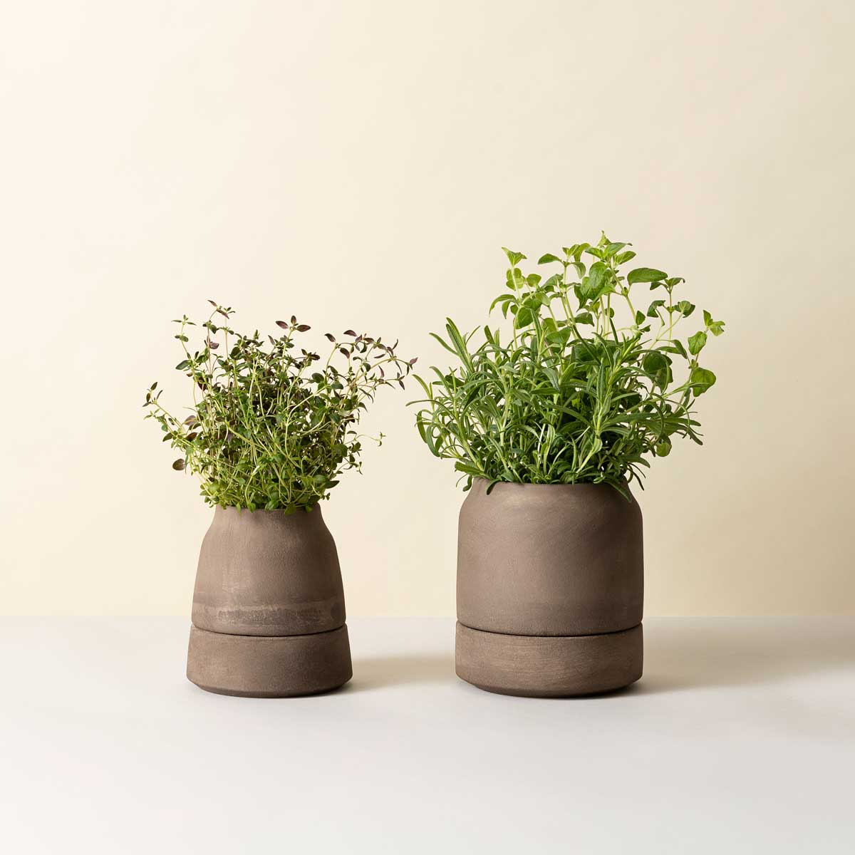 Viva Pot RAW Grey