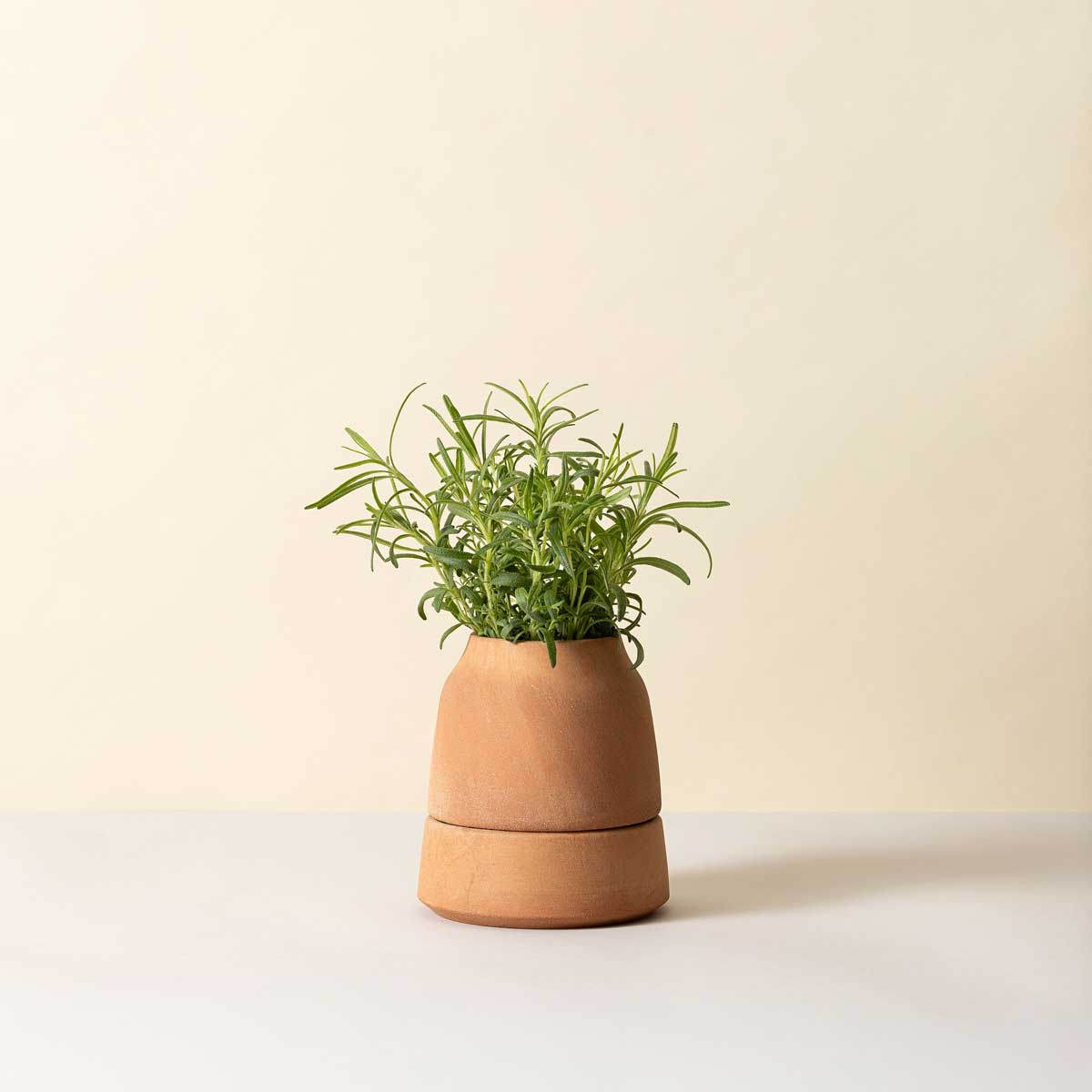 Viva Pot RAW Rosa